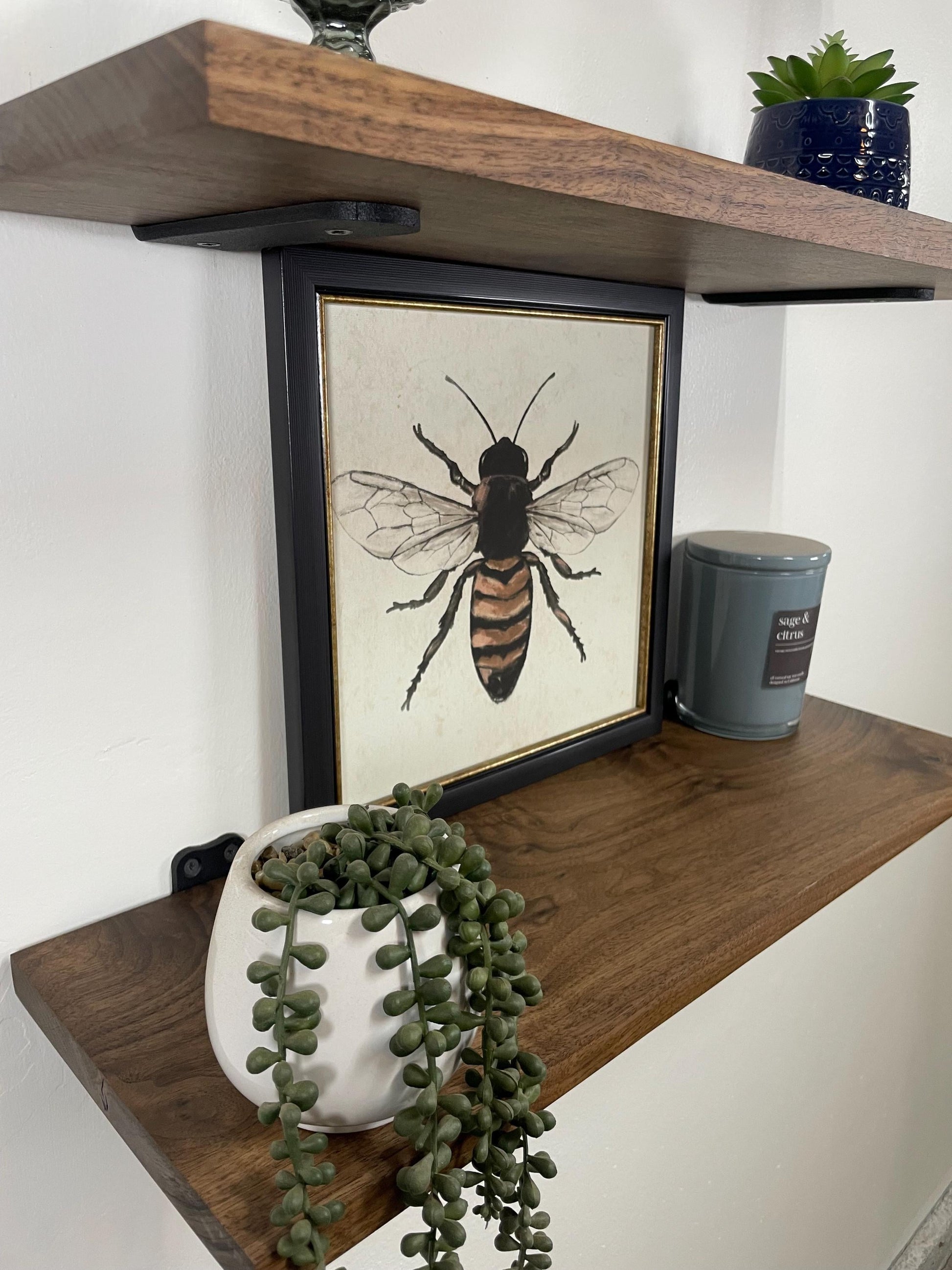 heavy duty solid walnut shelf  Duty Wooden Shelves Solid Hardwood