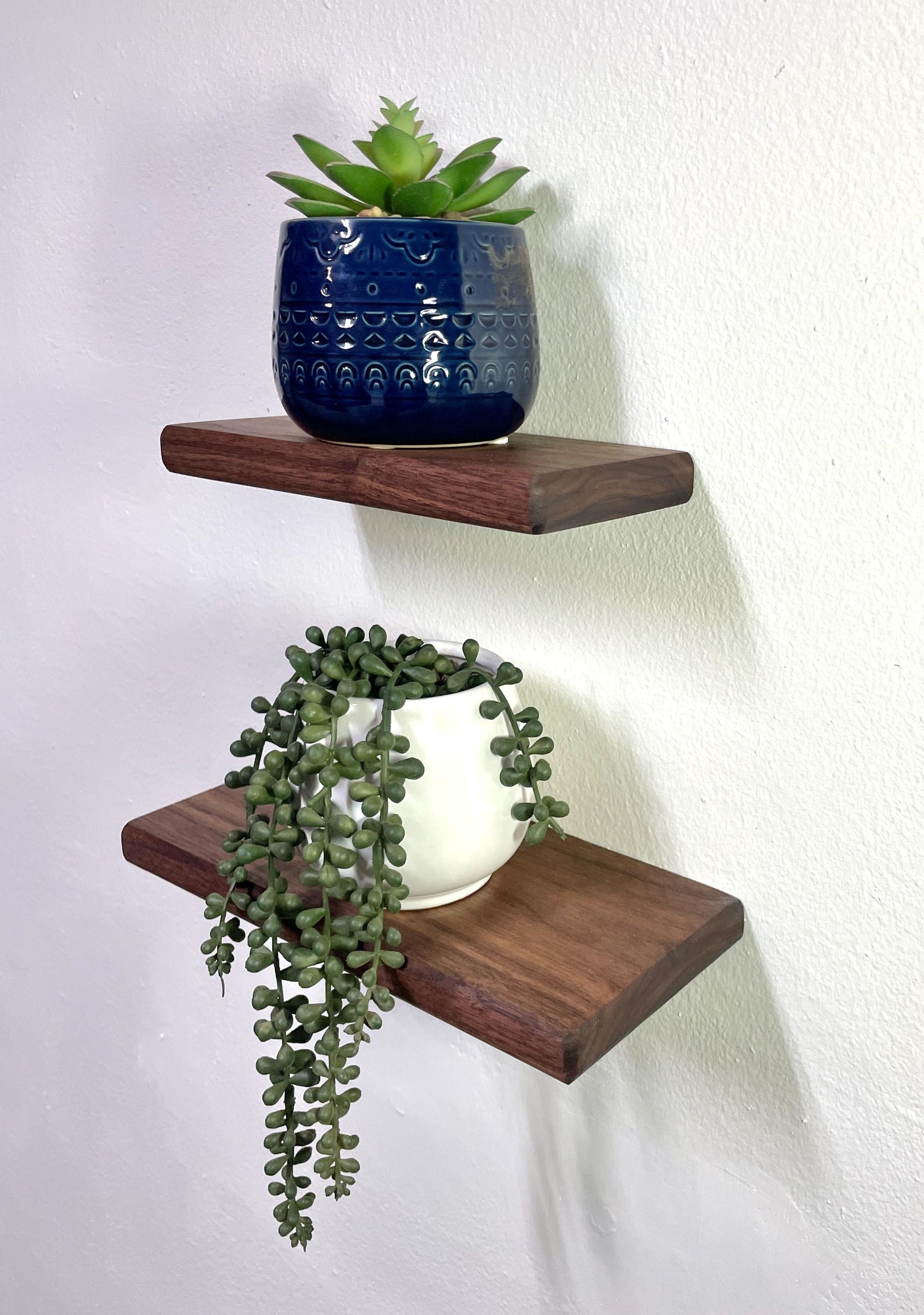 Custom Walnut Shelf | Rounded Edges | Small to Medium | Plant Shelves