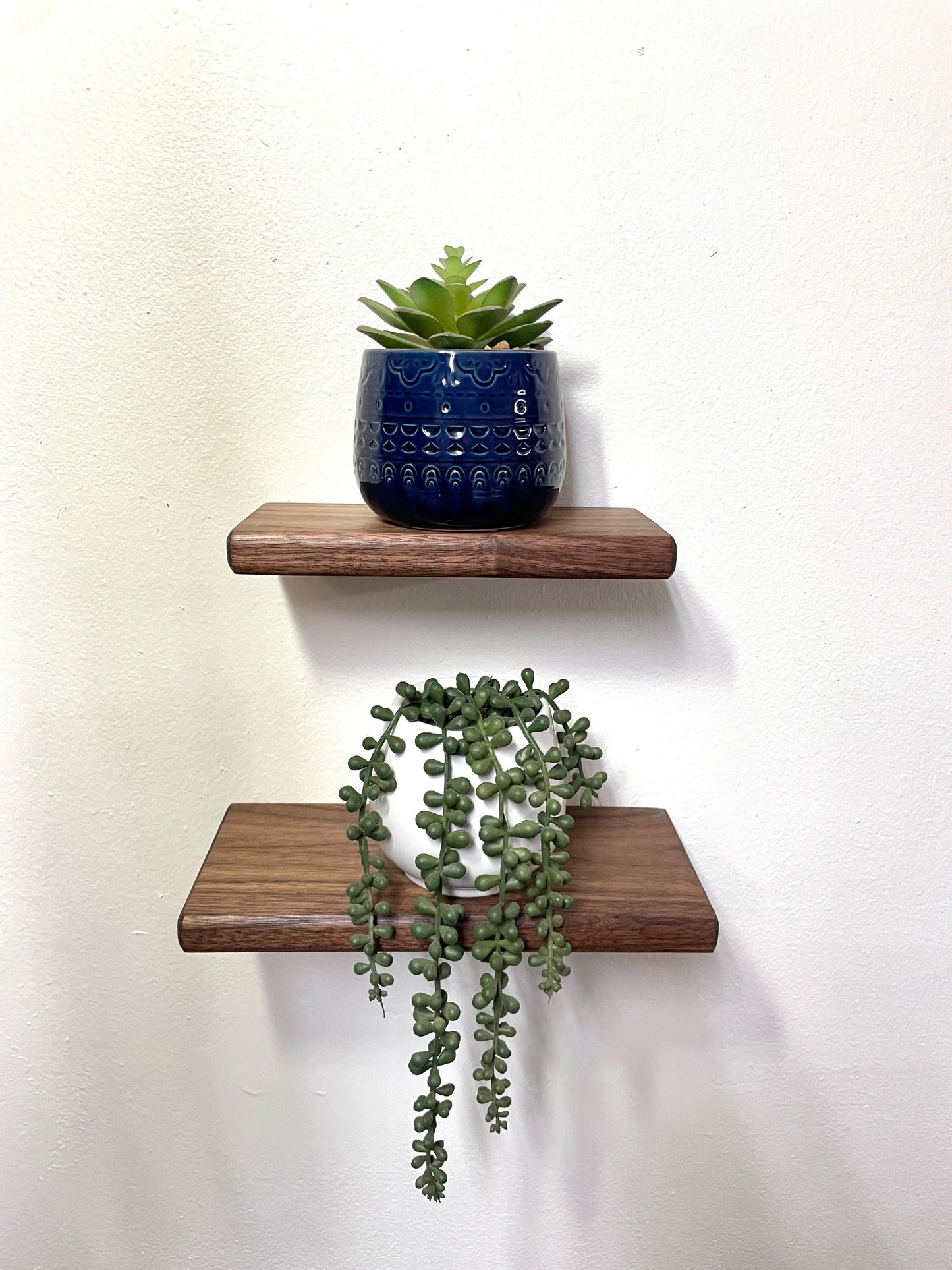Custom Walnut Shelf | Rounded Edges | Small to Medium | Plant Shelves