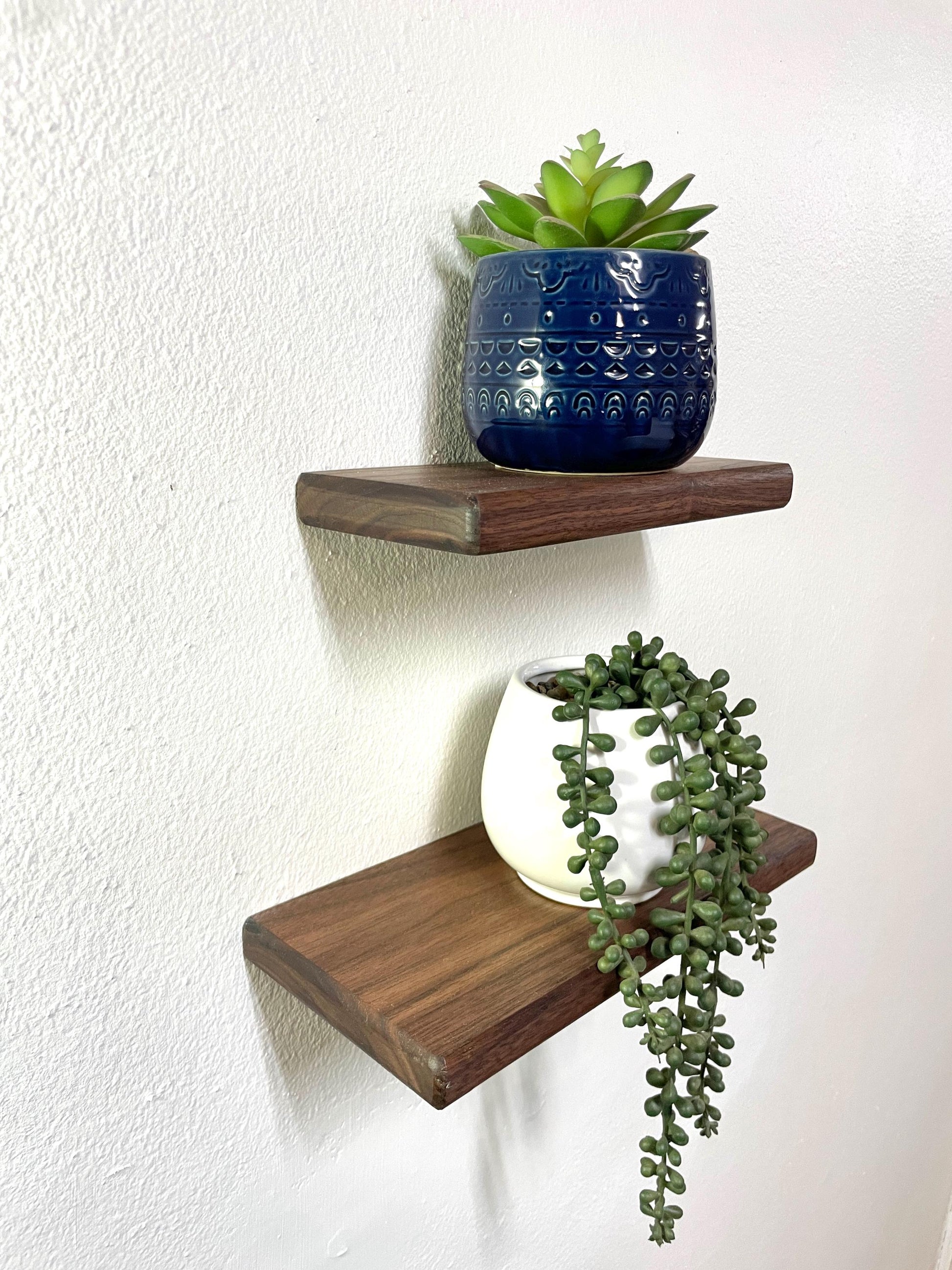 Custom Walnut Shelf | Rounded Edges | Small to Medium | Plant Shelves